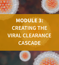 Module 3: Creating the Viral Clearance Cascade